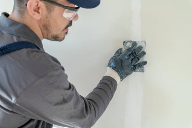 Best Air Quality Testing for Mold Spores  in Douglas, WY